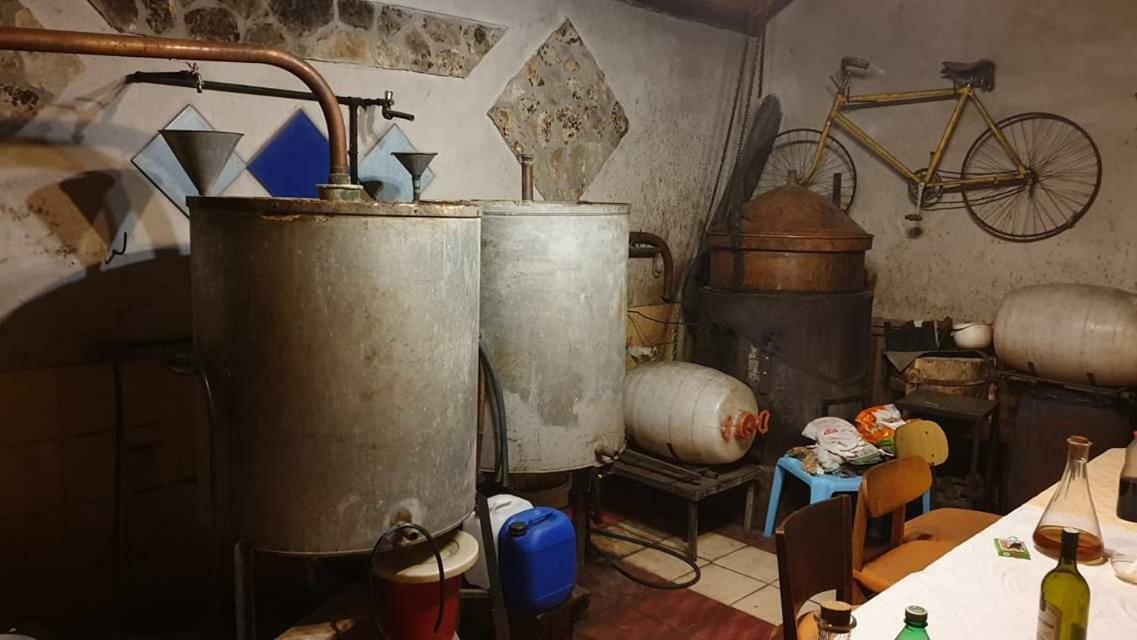 Apartman Bruna شيبينيك المظهر الخارجي الصورة